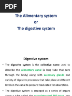 Overview of the Human Digestive System | PDF | Human Digestive System ...