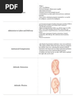 Download Intrapartum Quizlet by anon_616227840 SN103593667 doc pdf