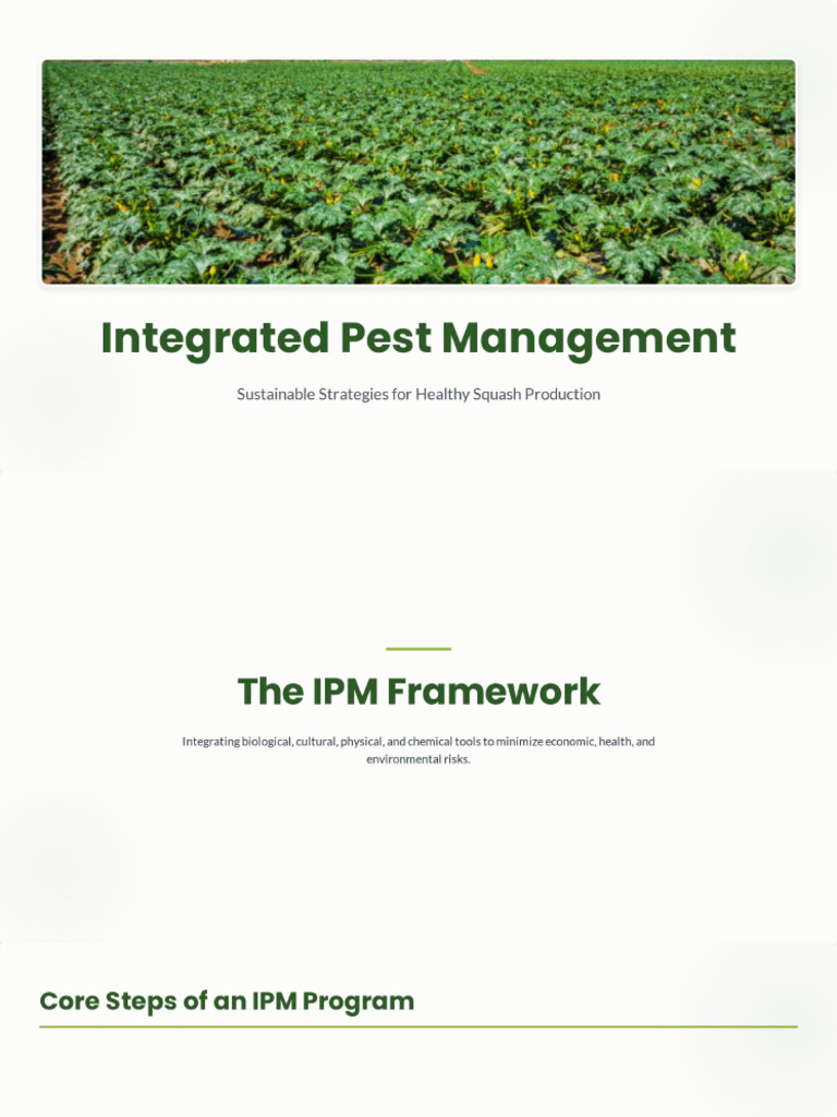 Integrated Pest Management of Squash | PDF