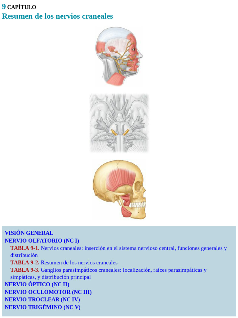 27. Nervios craneales | PDF | Nervio vago | Anatomía humana