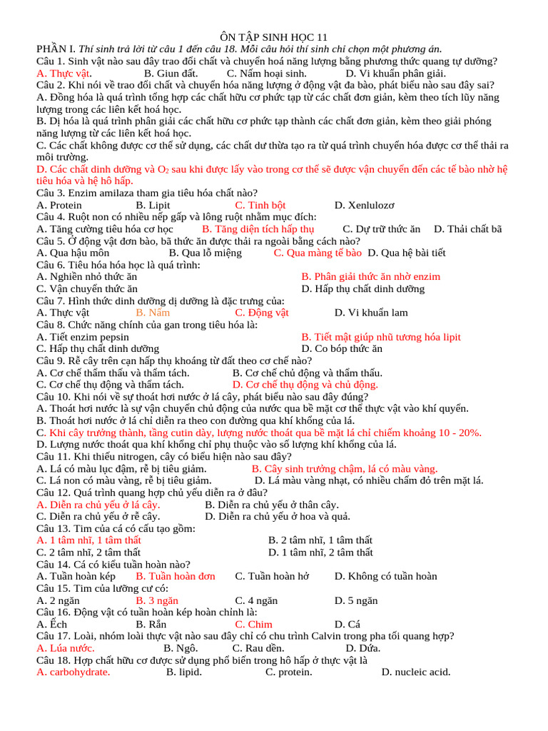 Sinh | PDF