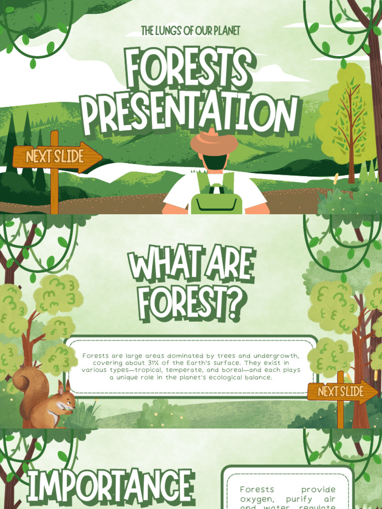 Green and White Illustrative Forest Presentation | PDF | Forests ...