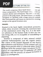 Enamel: Physical and Chemical Properties | PDF | Tooth Enamel | Tooth