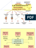 Sistema Endocrino - Generalidades