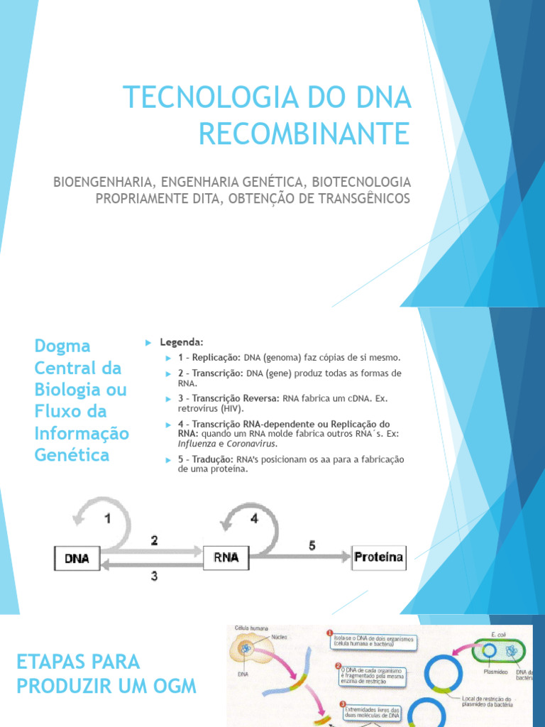 Tecnologia Do Dna Recombinante | PDF | DNA | Transgênicos