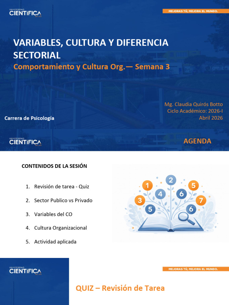 Sesion 4 CCO | PDF | Cultura organizacional | Sicología