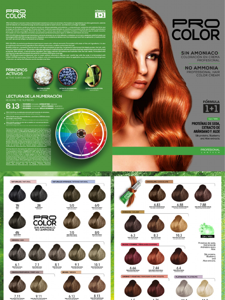 Carta Web Pro Color - 03 Mayo | PDF