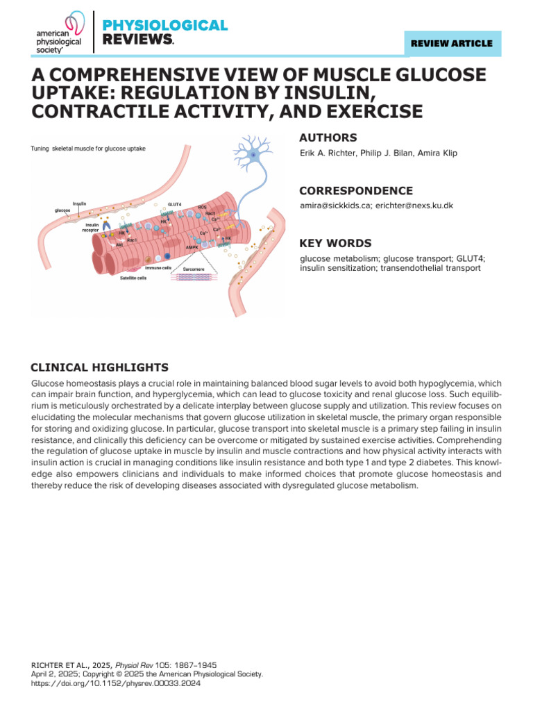 A Comprehensive View of Muscle Glucose Uptake Regulation by Insulin ...