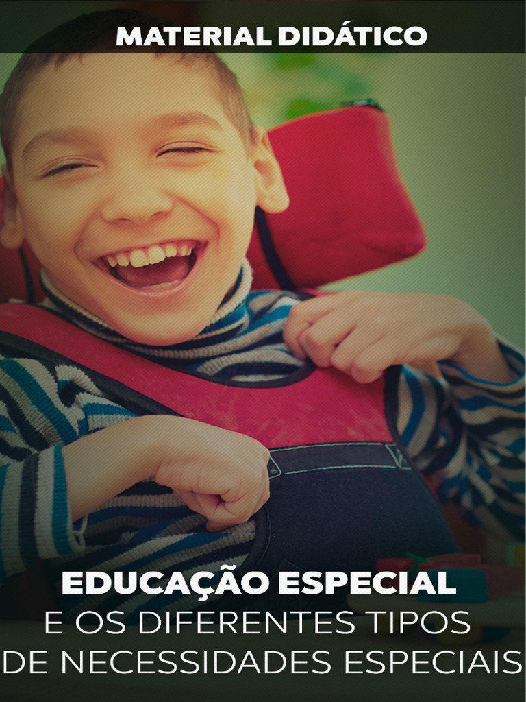 2 Educação Especial e Os Diferentes Tipos de Necessidades Especiais ...