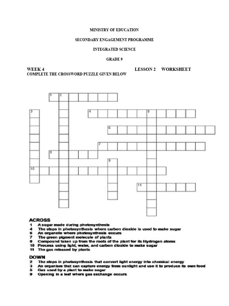 Grade 9 Integrated Science Week 4 Lesson 2 Worksheets 1 and ...
