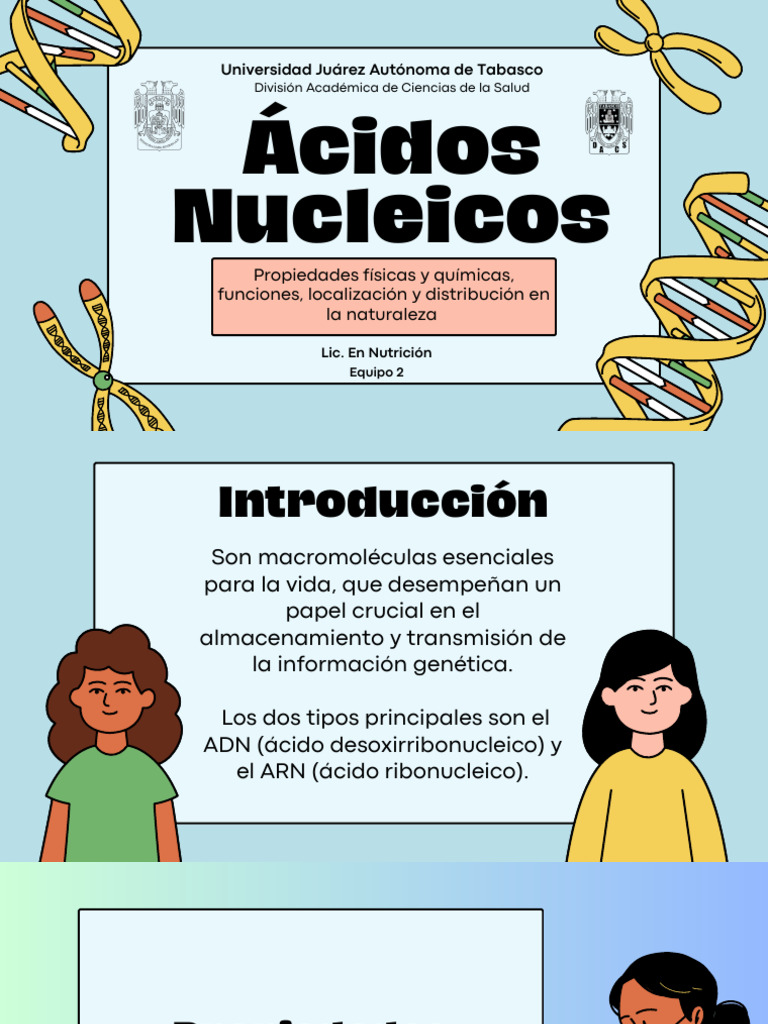 Ácidos Nucleicos 3 de 3 242E Matrícula | PDF | Rna | Adn