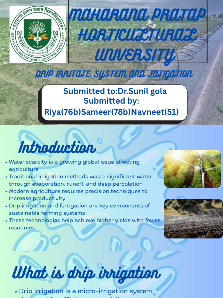 drip irrigation and fertigation by Riya, Sameer, Navneet | PDF ...