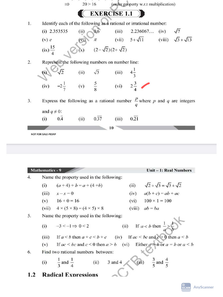 Half Bool Test_copy (1) | PDF