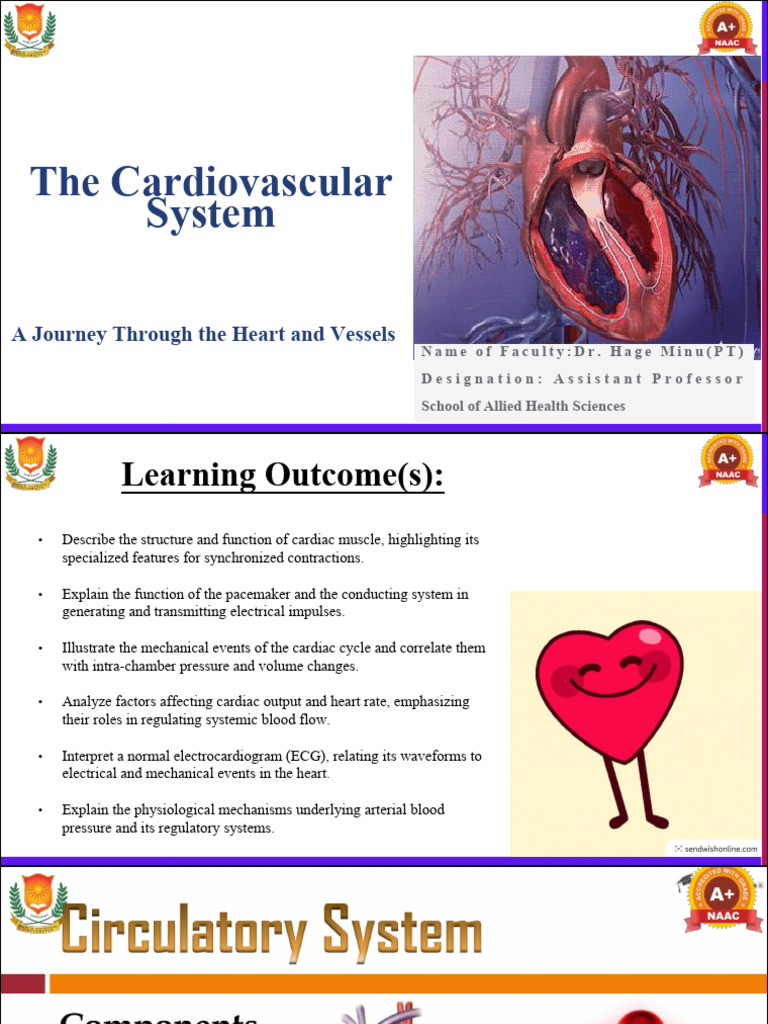 4. Cardiovascular System-II | PDF | Heart Valve | Diastole