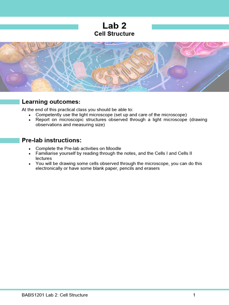 Week 2 - Lab 2 - Cell Structure 2026 (4) | PDF | Angular Resolution ...