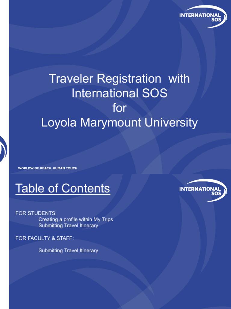 Travel Registration Process | PDF | Computing | Software