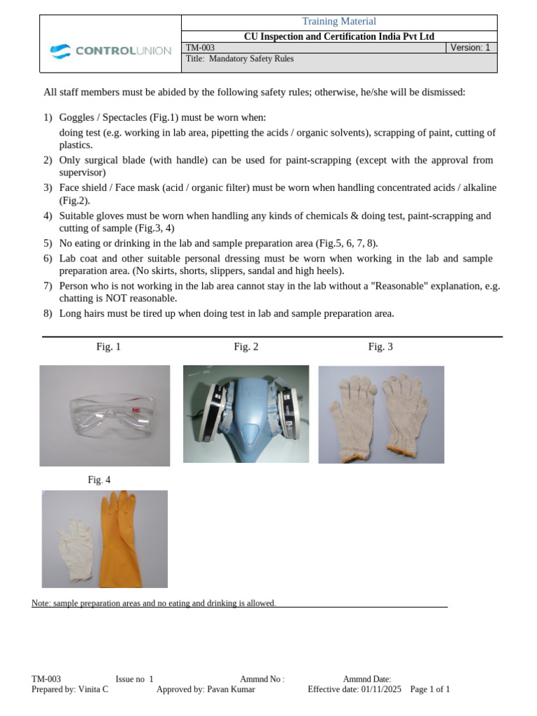 TM-0004 Mandatory Safety Rules | PDF