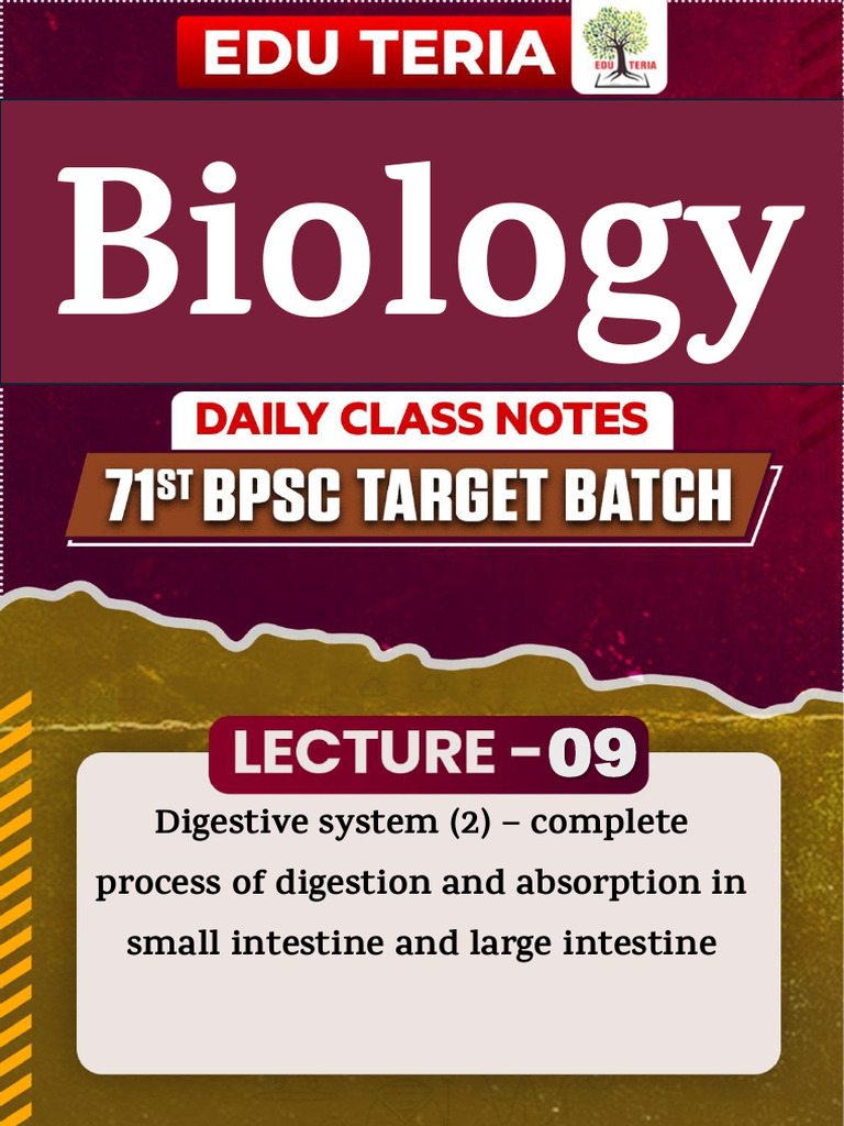 Lecture 09 Digestive System 2 – Complete Process of Digestion | PDF ...