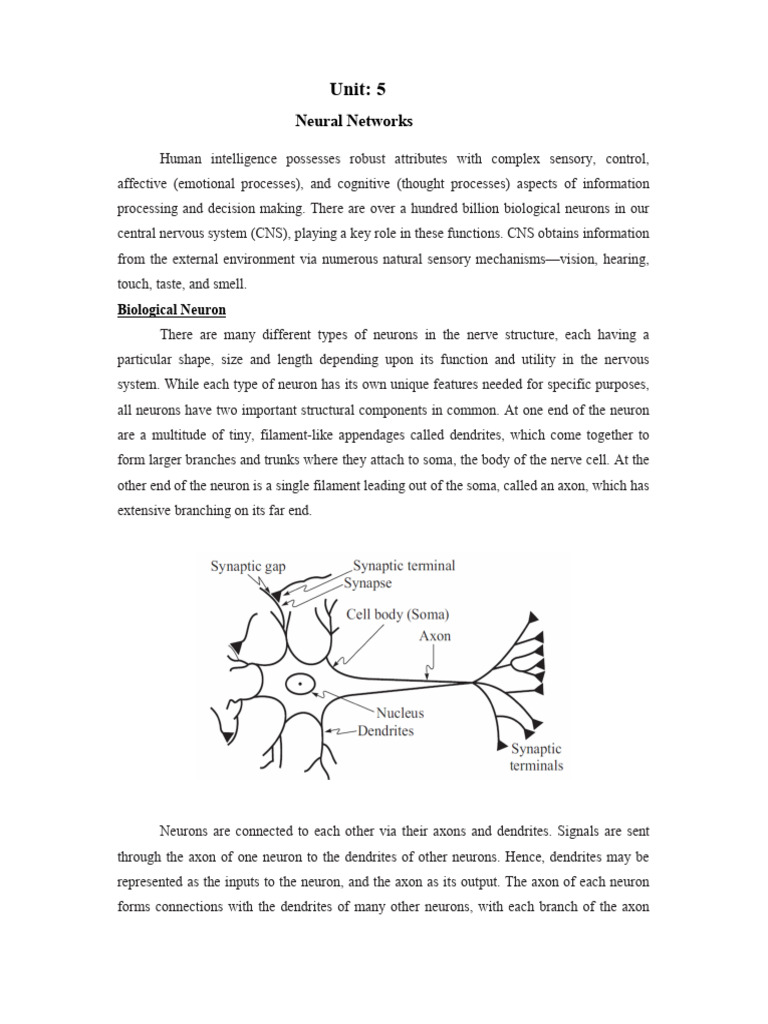 FML unit5 (1) | PDF | Axon | Neuron
