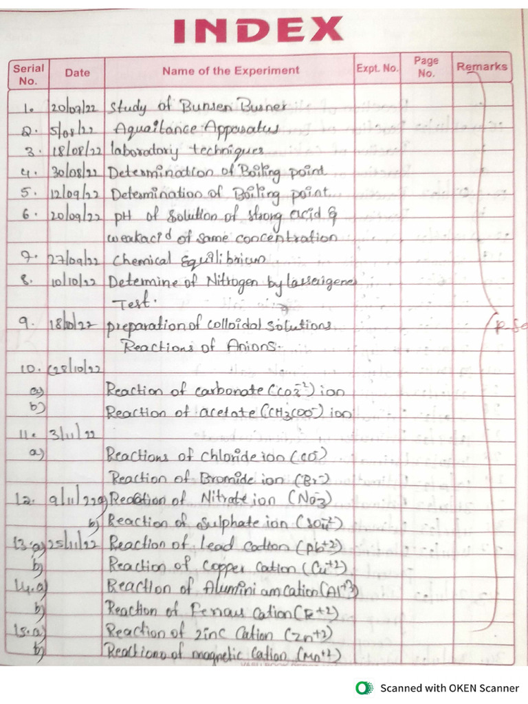 Chemistry Lab Record | PDF