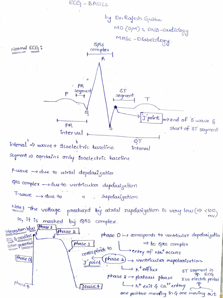 ECG Basics | PDF
