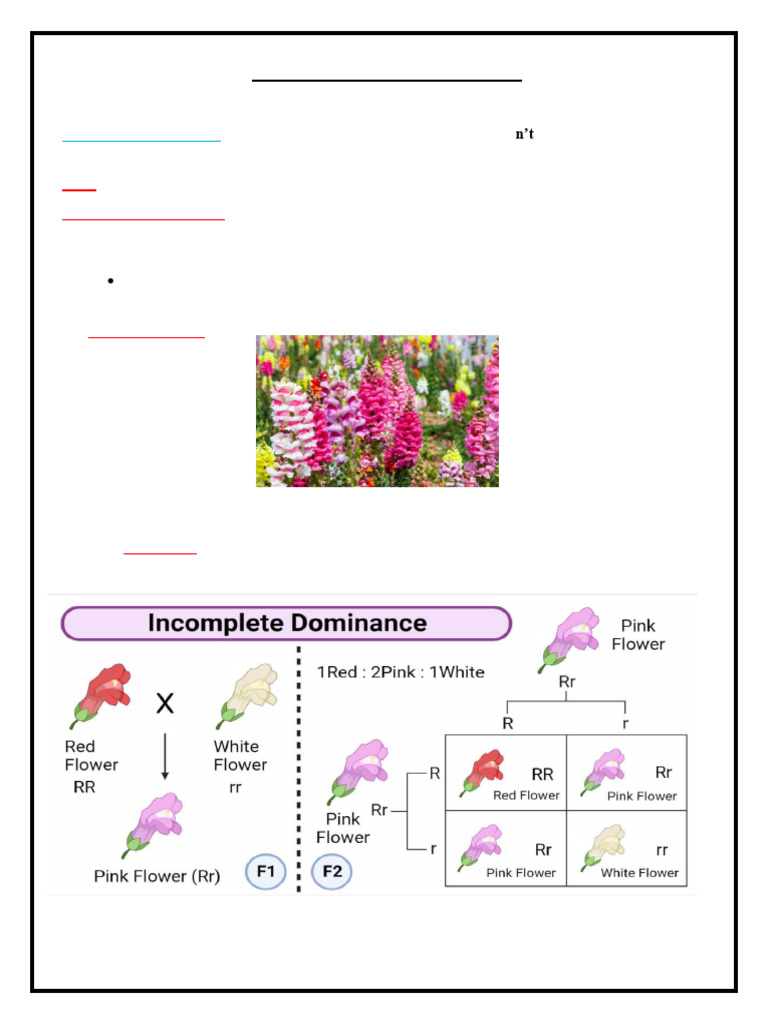 Lesson 3 Non Mendelian Genetics-1 | PDF | Dominance (Genetics) | Genotype