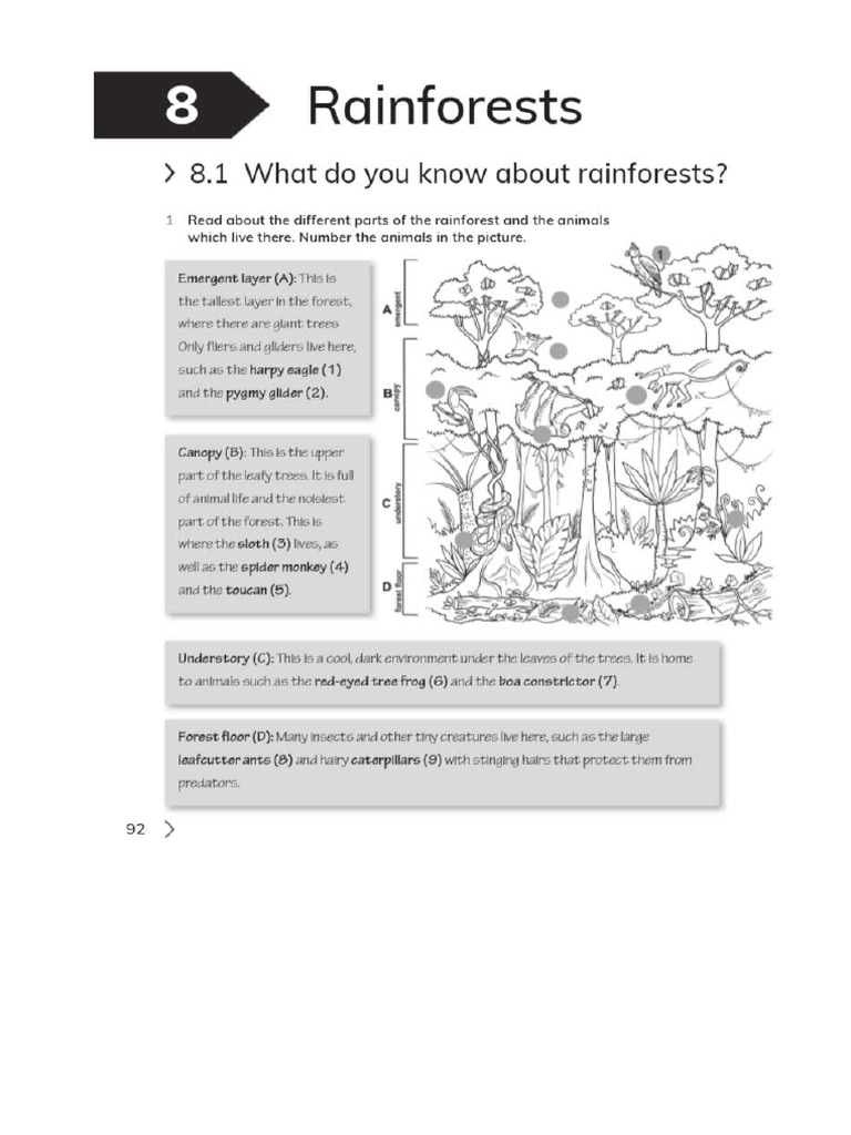 Unit 9 Workbook | PDF
