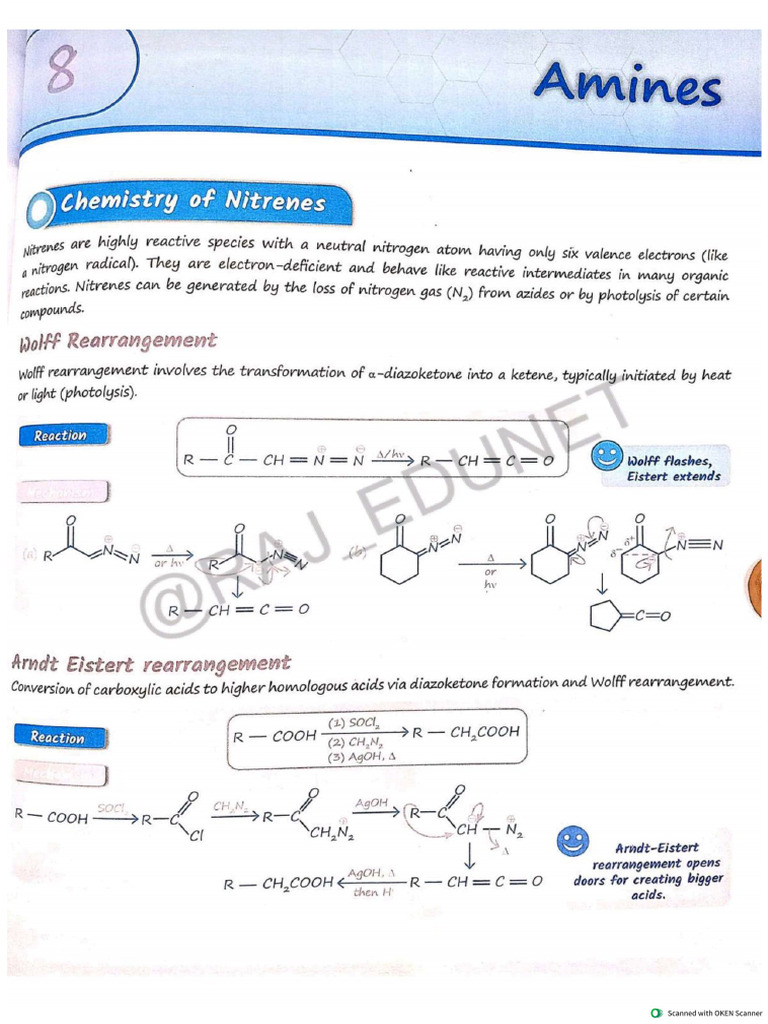 Amines | PDF
