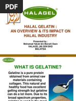 Halal Gelatin by Mohamad Yakob Bin Munshi Deen