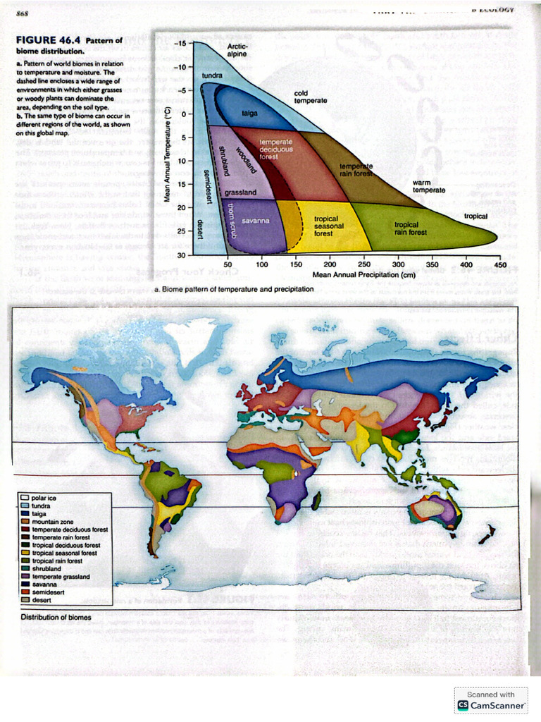 Biomes | PDF