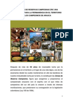 Las Zonas de Reservas Campesinas Zrc Una Alternativa Para La Permanencia en El Territorio de Los Campesinos de Arauca