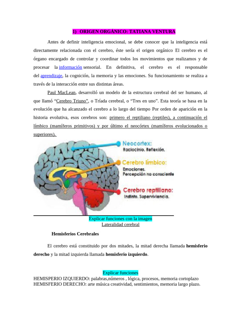 INTELIGENCIA EMOCIONAL | PDF | Cerebro | Las emociones