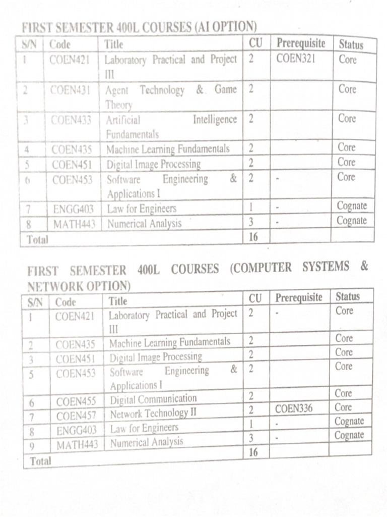 400 Lvl Courses | PDF