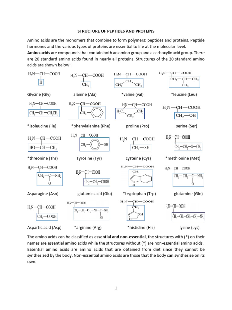 STRUCTURE OF PEPTIDES AND PROTEINS | PDF | Amino Acid | Aromaticity