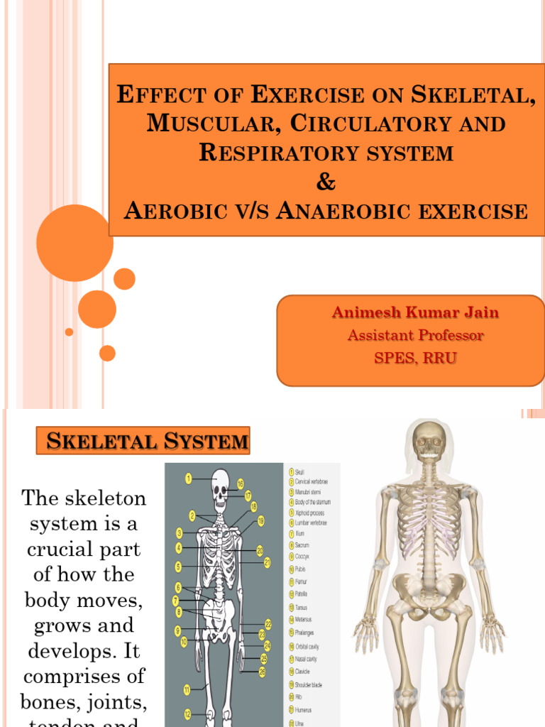 Unit II (2.2, 2.3) Effect of Exercise on System - Copy | PDF | Heart ...