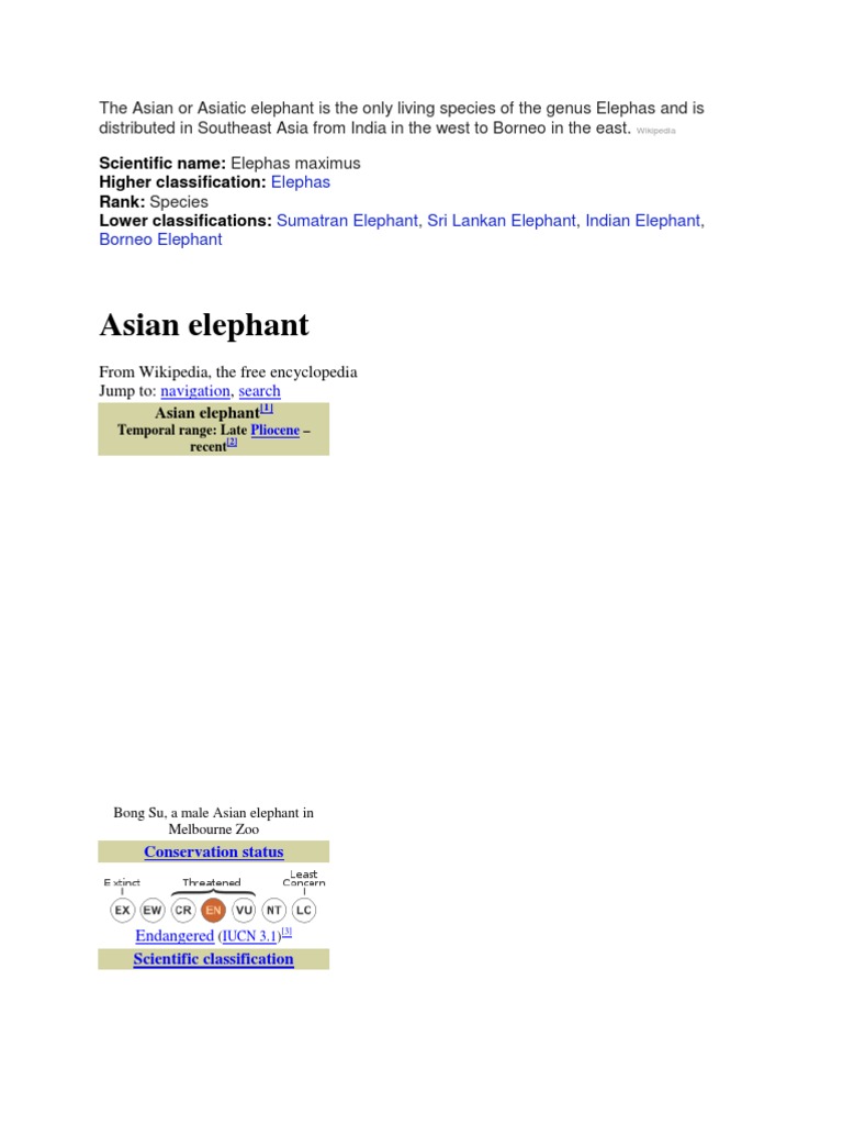 Asian Elephant: Scientific Name: Higher Classification: Rank: Lower
