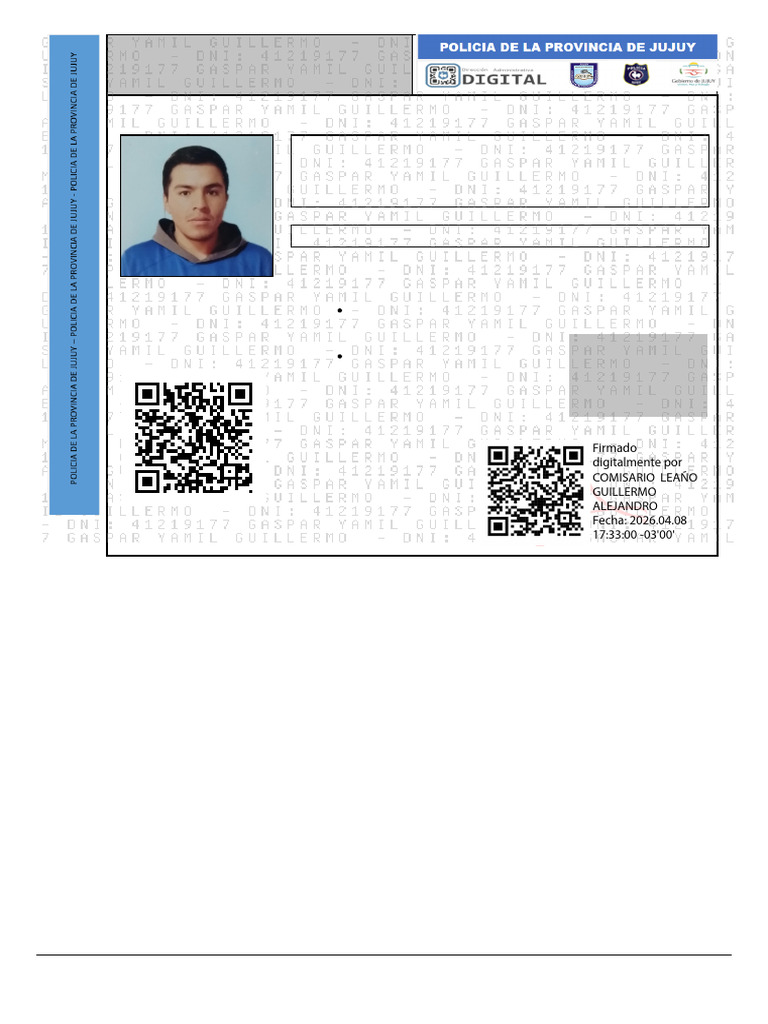 1277779_20260408_173306_Planilla_Prontuarial-41219177 | PDF | Control ...