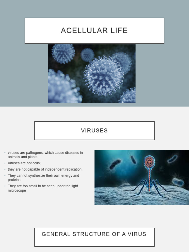 5# Acellular Life | PDF | Virus | Bacteriophage