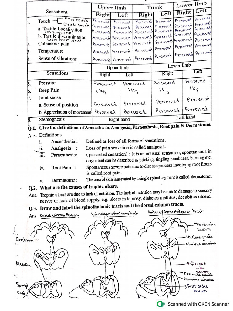 Physio | PDF
