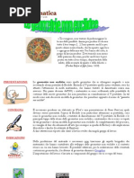 Webquest Storia - Geometrie Non Euclidee