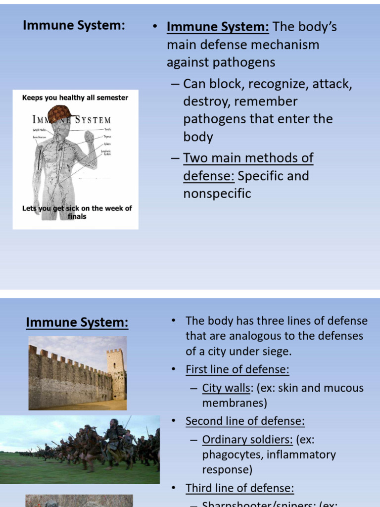 Immune Slides 2025 2026 | PDF