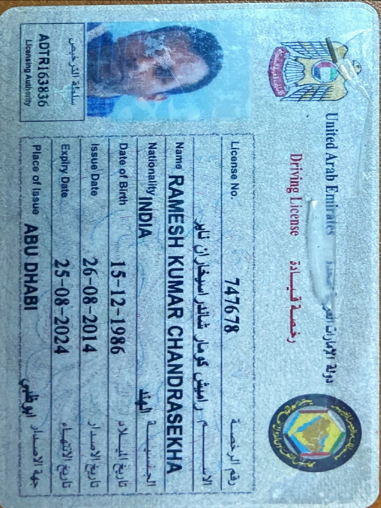 UAE DL | PDF