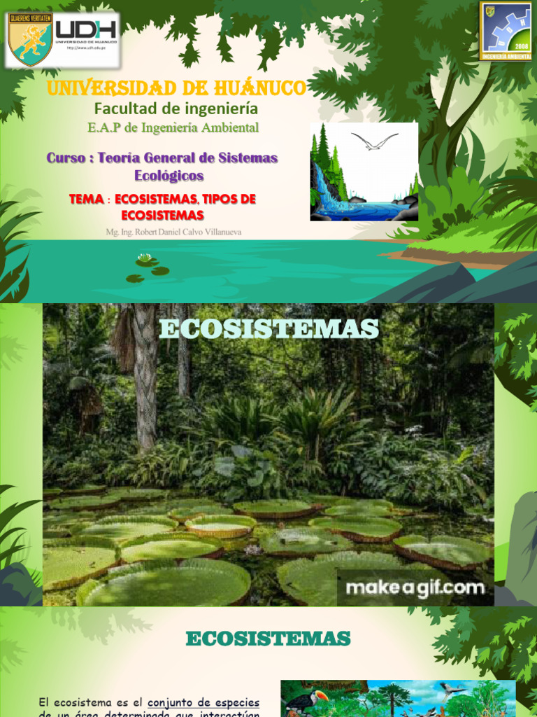 Clase 8 - Ecosistemas Tipos de Ecosistemas | PDF | Ecosistema | Los bosques