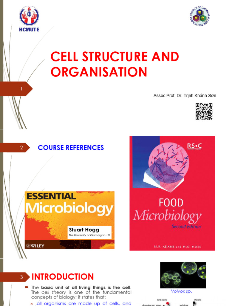 C1_Cell Structure and Organisation | PDF