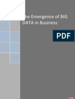 Big Data CIS Full Report