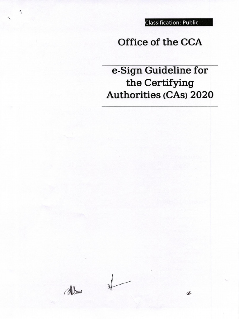 E Sign Guideline | PDF