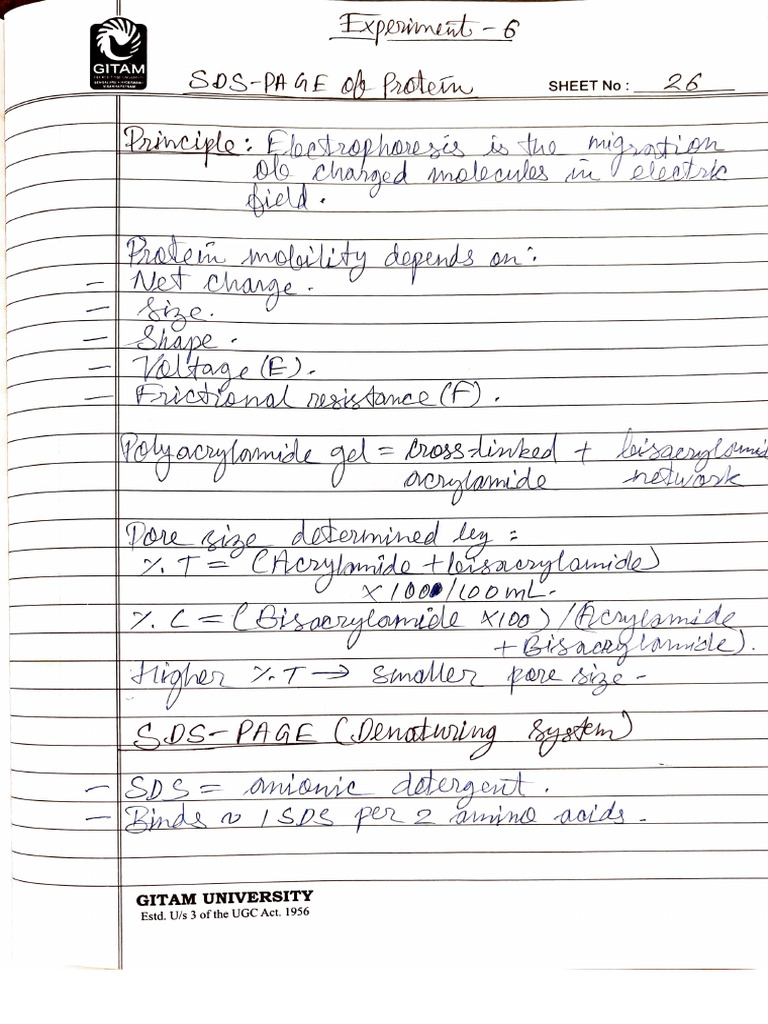 Molecular Biology Lab Experiment 6 | PDF