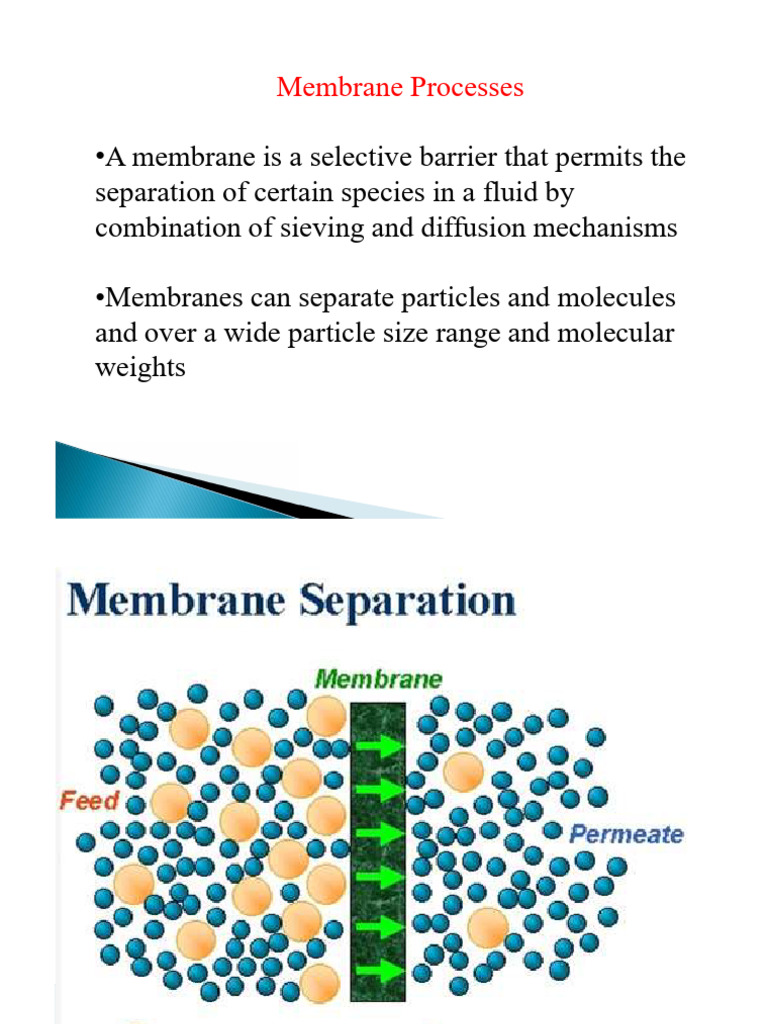 Membrane Separation PDF Winter 25-26 | PDF | Membrane | Membrane Technology