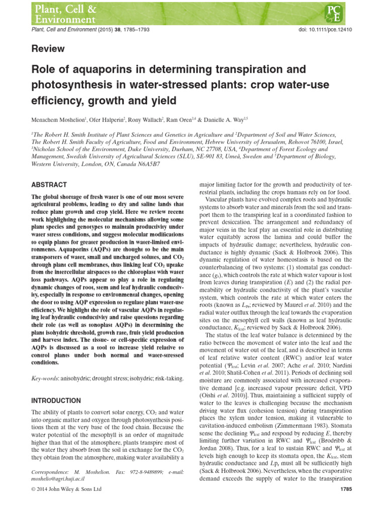 Role of Aquaporins in Determining Transpiration.... | PDF | Stoma | Root