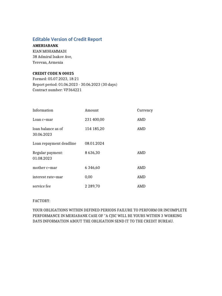 Editable Credit Report | PDF
